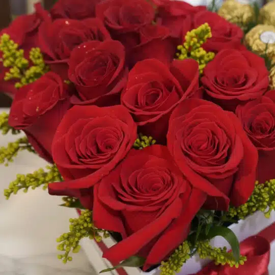 Primer plano extremo de rosas rojas frescas con gotas de rocío sutiles y follaje verde, destacando texturas hiperrealistas y