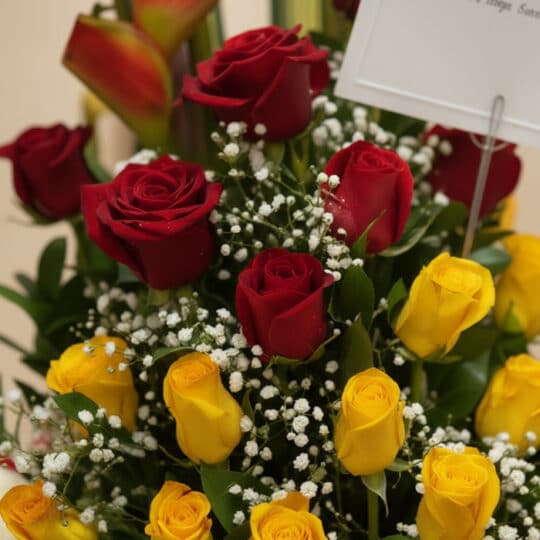 Primer plano extremo de un Arreglo Floral con Frutas Encanto, mostrando rosas rojas y amarillas con gotas de rocío, textura h