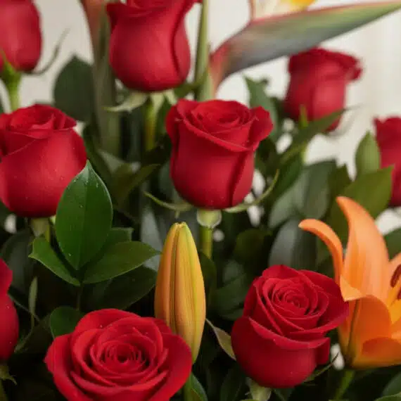 Primer plano extremo de un arreglo floral 'Me Encantas' con rosas rojas, lirios naranjas y follaje verde, gotas de rocío suti
