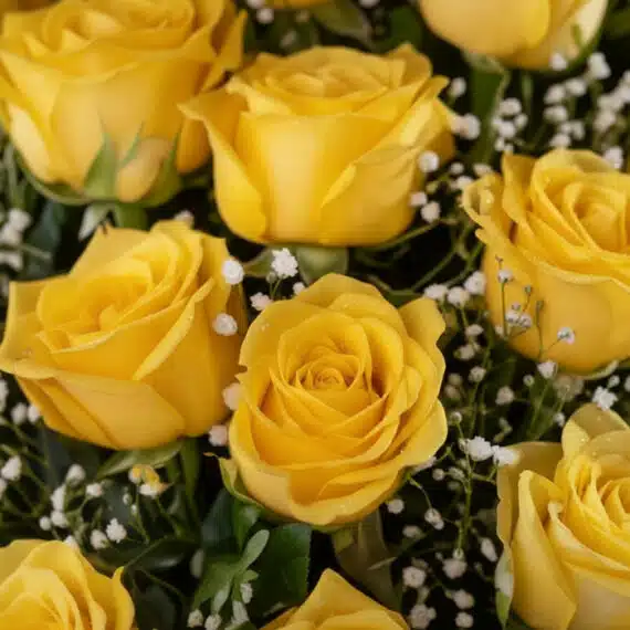 Primer plano extremo de un jarrón con 24 rosas amarillas frescas, mostrando texturas hiperrealistas, sutiles gotas de rocío y